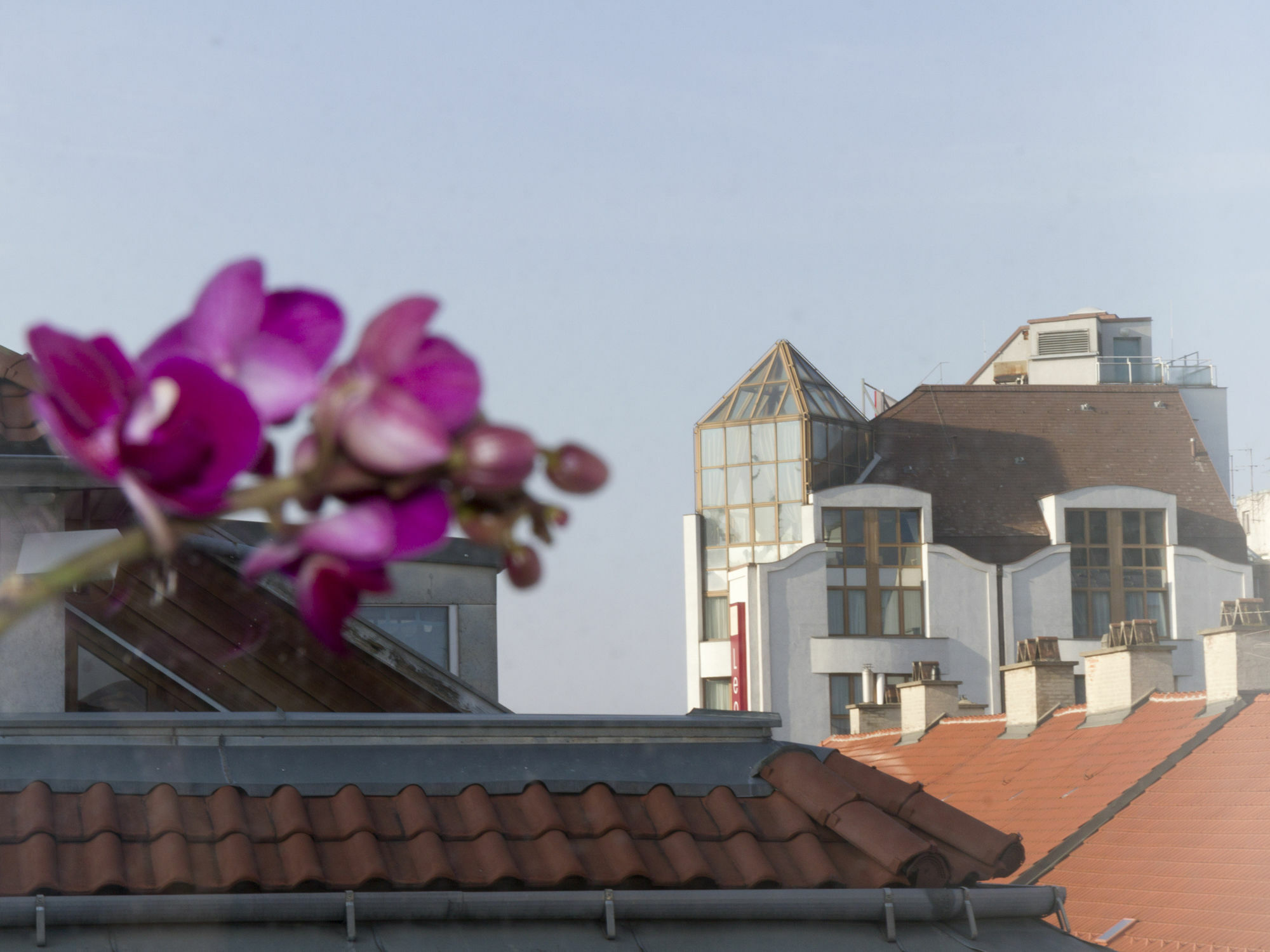 Mariahilf Terrace By Welcome2Wenen Buitenkant foto